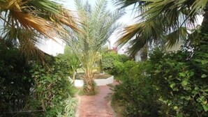Apartamento, 1 quarto, sacada, vista para o jardim | Jardim
