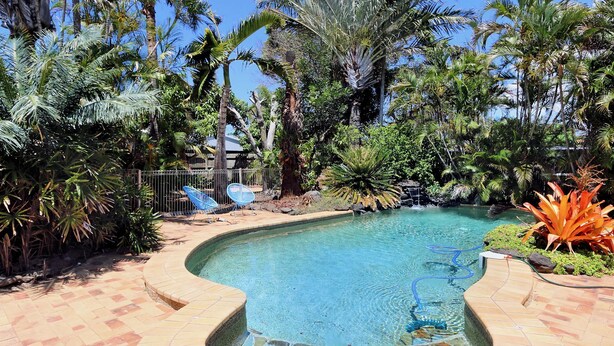 A pool surrounded by tropical vegetation and a wooden deck. - 36 Trevors Road Bargara (Bargara)