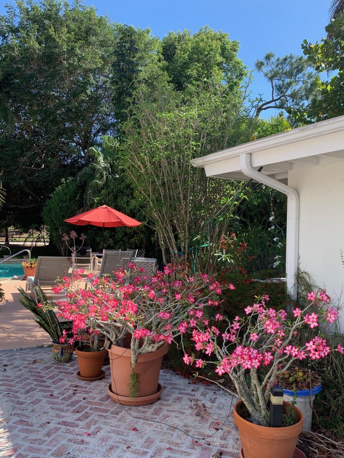 Photo 10 of Zen Garden Guest House w Pool n Golf n Beach
