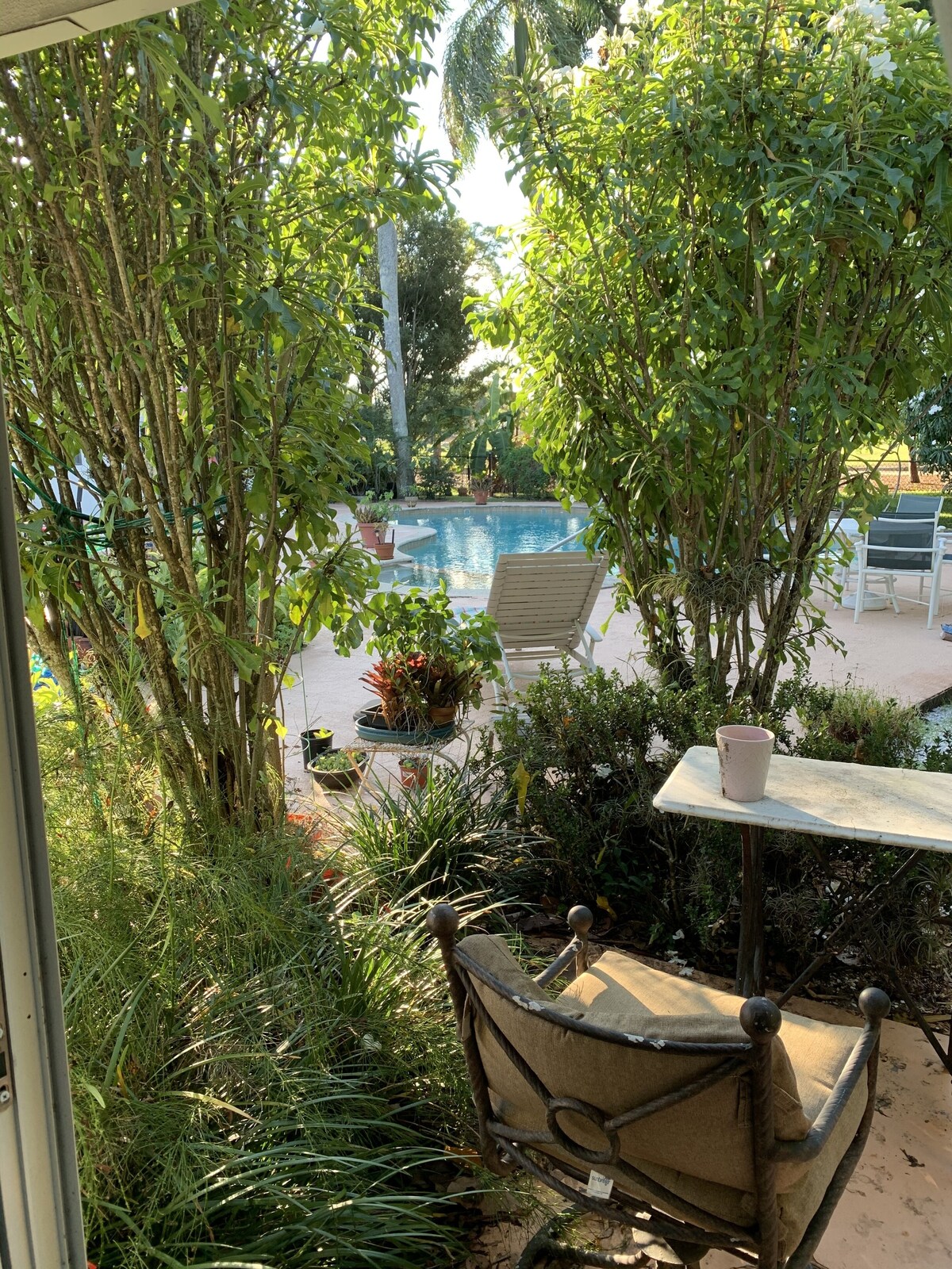 Photo 8 of Zen Garden Guest House w Pool n Golf n Beach