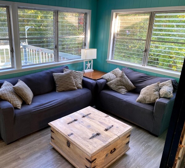 Smart TV, DVD player, books, video library