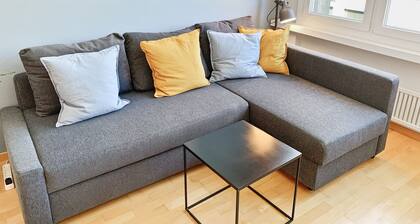 Mountain View Business Apartment, Fiber, Netflix