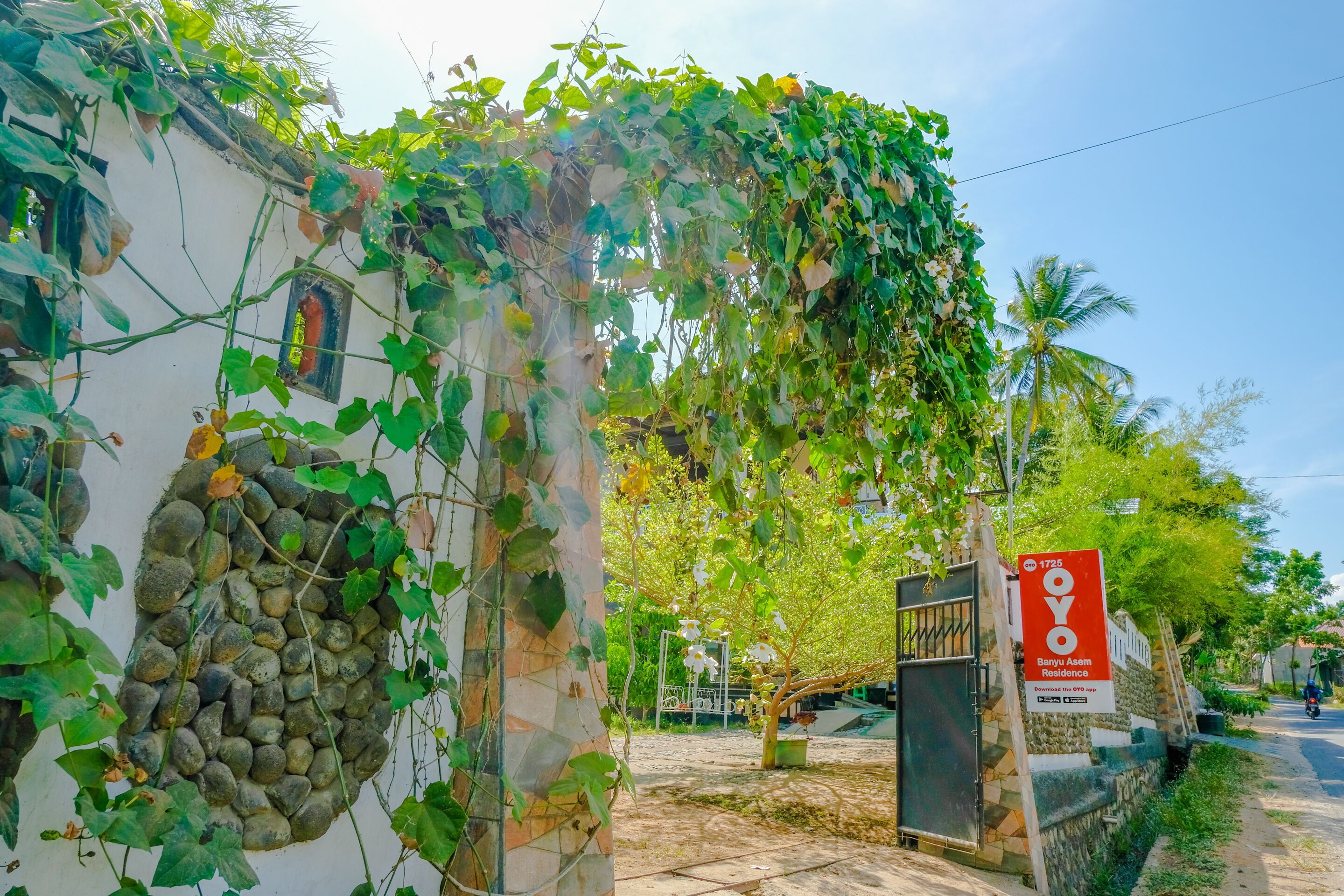 Un quartier résidentiel avec un bâtiment blanc recouvert de lianes vertes, un mur de pierre et une enseigne indiquant « OYO Banyu Asam Residence ».