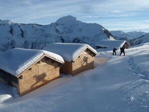 Image sans description, 3 de 24, bouton