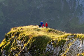 Imagen sin descripción, 4 de 25, botón