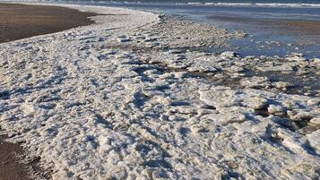 Vlak bij het strand, ligstoelen aan het strand