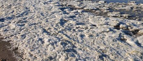 Beach nearby, sun-loungers