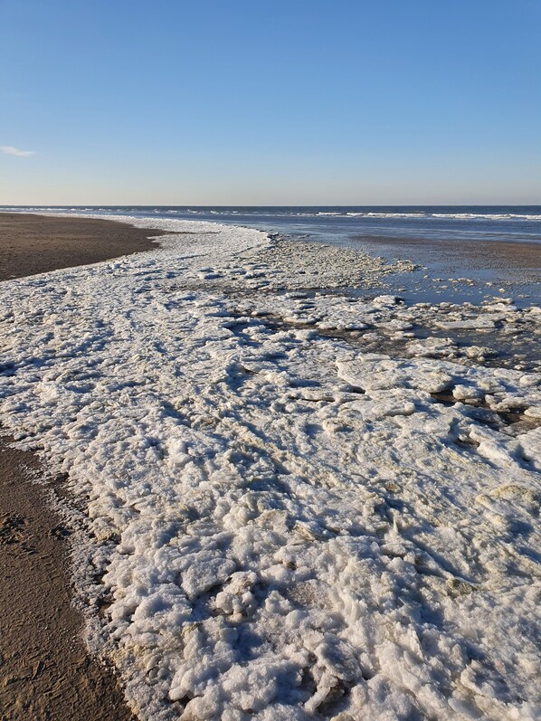 Plage à proximité, chaises longues
