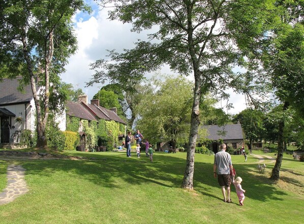 A grassy area with trees and a building with a sloped roof. - Foxglove Cottage - sleeps 2 guests in 1 bedroom (Boncath)