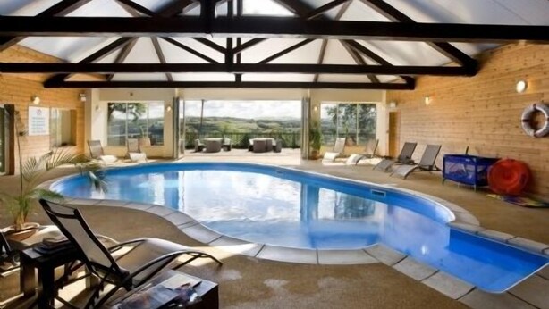 Une piscine intérieure moderne, dotée d’un design incurvé, entourée de chaises longues et d’une terrasse en bois.