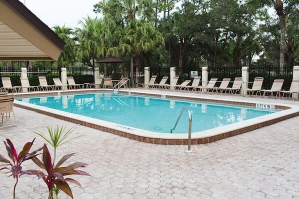 A rectangular pool with a tiled deck, surrounded by lounge chairs and palm trees.