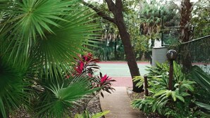 A pathway surrounded by lush greenery and a tennis court in the background. - Immaculate Fort Myers Condo, ideal location-quiet (Fort Myers)