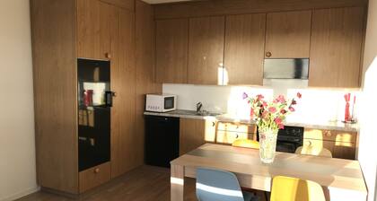 Apartment at 9th floor, 2.5 km from Zug center