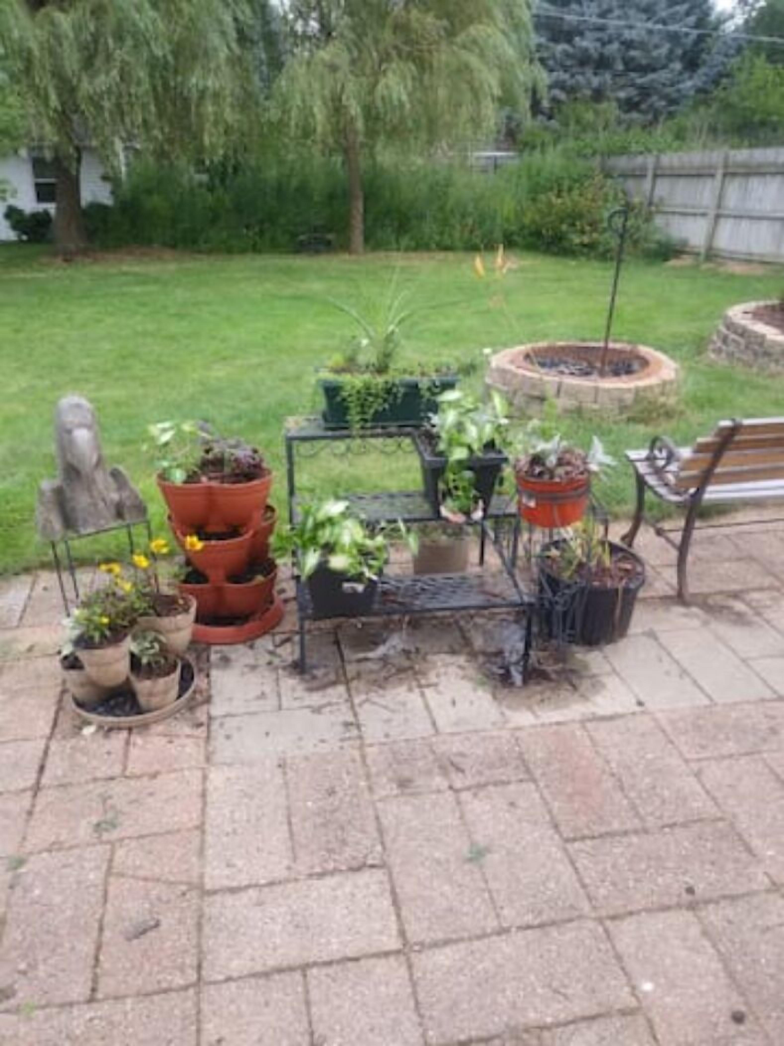 Oasis away from home by Downtown McHenry Dog  2br