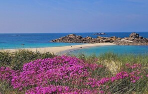 Plage, chaises longues