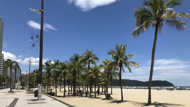 A beach with palm trees, a tiled walkway, and a distant view of the sea. - Apartment 100 meters from Praia Grande – Vila Tupi (Praia Grande)