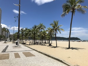 Ein Strand mit Palmen, einem gefliesten Weg und einem Blick auf das Meer in der Ferne.
