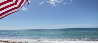  WALK TO GULF BEACH ACCESS! Coastal Studio – Starfish Stays 2C Dog Friendly.