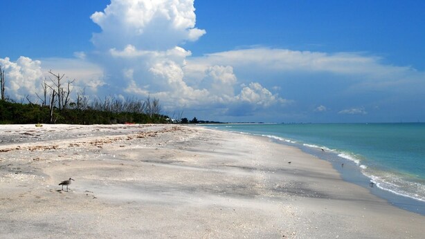 A beach with clear skies and calm waters.