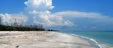 在海灘附近、躺椅、沙灘巾