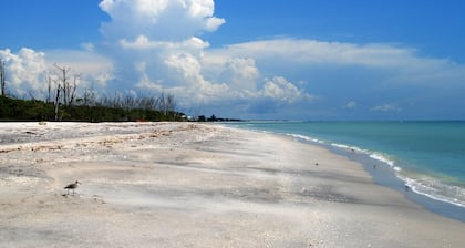 LOCATED ON THE KEY! Coastal Studio – Starfish Stays 2C Dog Friendly.