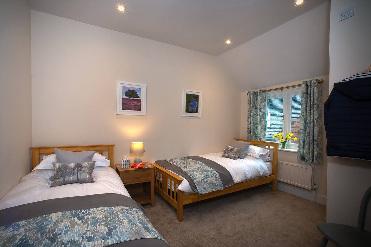 Habitación clásica con 2 camas individuales, baño en la habitación (Room 2)