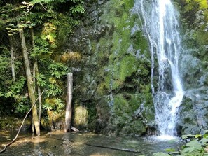 Ducha, secador de pelo, toallas y jabón