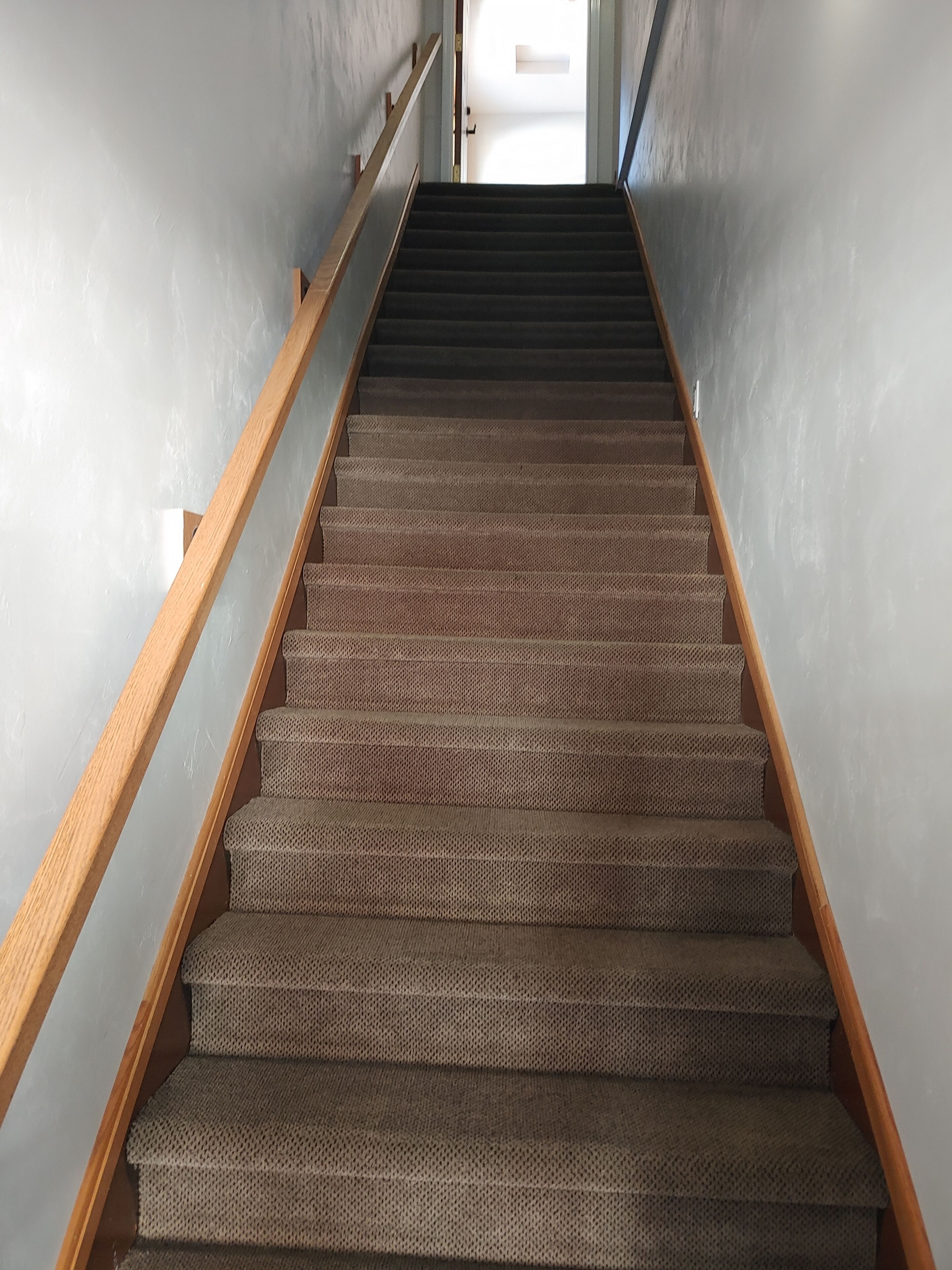 Un escalier recouvert de moquette, doté de rampes en bois, qui mène à une porte située en haut.