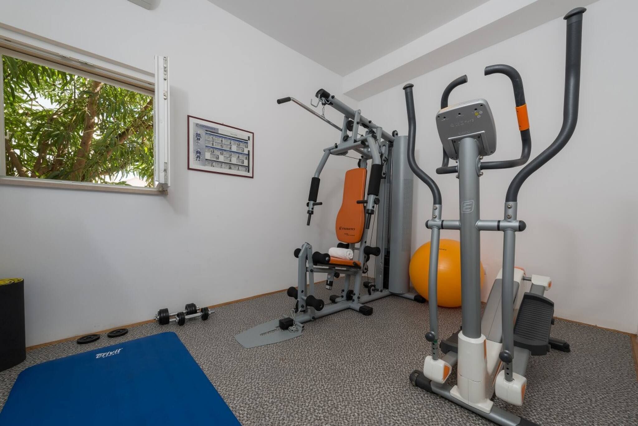 A gym with exercise equipment, a blue mat, and a window with a view of trees.