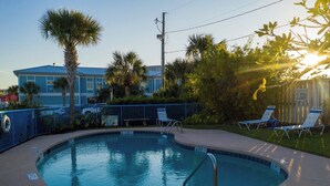 Pool - Beachy Isle of Palms Studio! Close walk to BEACH! (Isle of Palms)