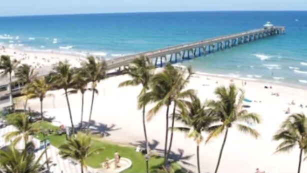 A beach with a pier extending into the ocean, palm trees, and a sandy shore.