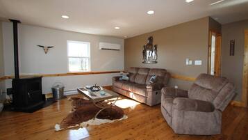 TV, fireplace, DVD player