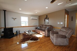 Télévision, cheminée, lecteur de DVD