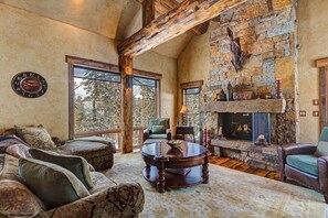 Fernseher, Kamin, Videothek