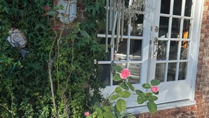A window with a white frame, a brick wall, and a rose bush in the foreground.