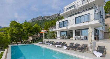 Luxury Villa Glorious Brela with private pool, jacuzzi, sauna, gym and playroom in Brela at the beach