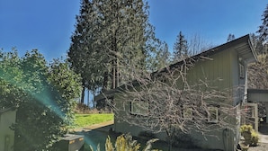 A house with a green roof, a small garden, and a tall tree in the background.