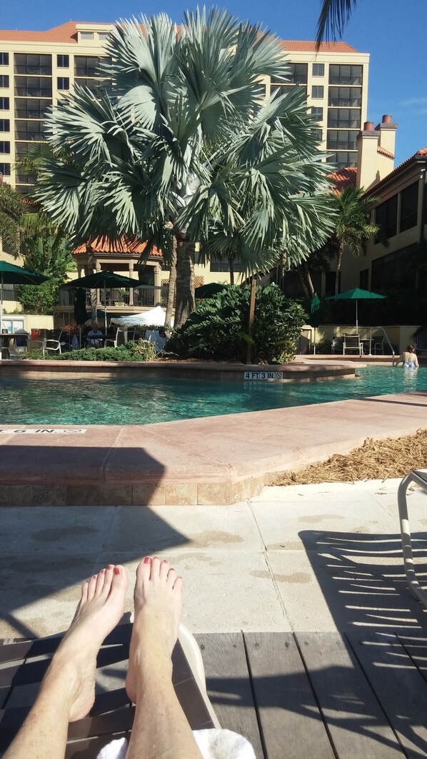 Outdoor pool, a heated pool - Beach Front Villa    ( Eagles Nest Marco Island online for photos and reviews)  (Marco Island)