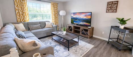 TV connectée, cheminée, livres