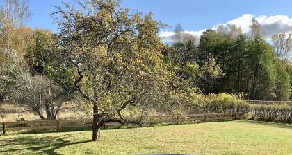 Villa in Målilla - Nähe Badeseen und Astrid Lindgren Welt