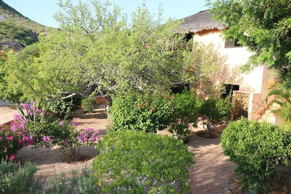 A courtyard with a thatched-roof building surrounded by lush greenery and flowering plants.