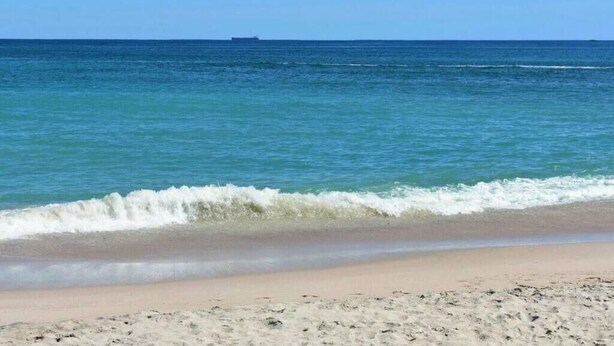 A beach with a sandy shore and calm ocean waves. - Casa Pájaros - Entire Lower Unit (Cabo Pulmo)
