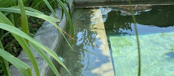 A green oasis within the city. 