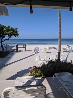 Property grounds - Beautiful condo directly on the beach. Must book 25 days in advance. No Pets (Naples)