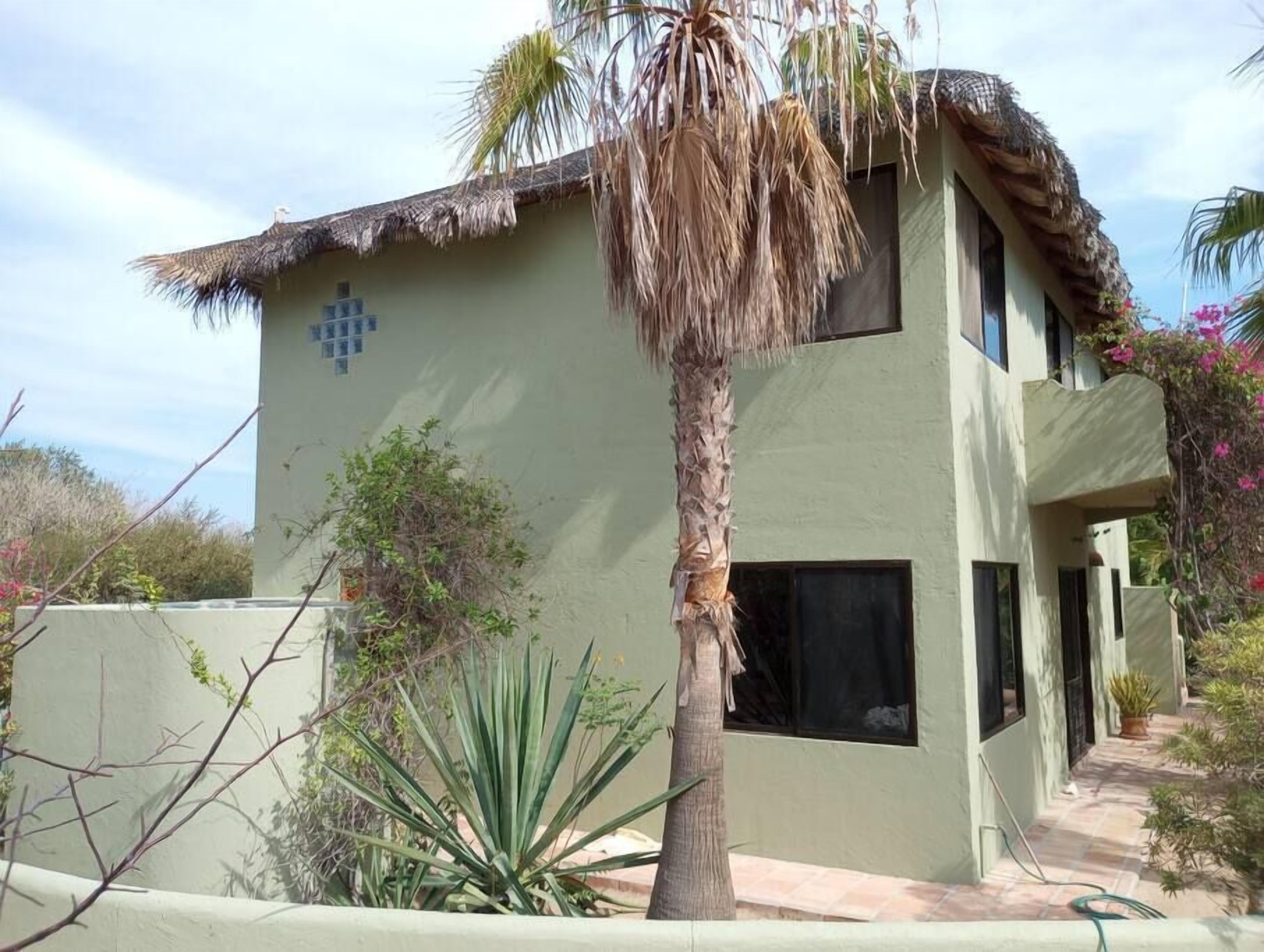 Un edificio de dos pisos con techo de paja, ventanas grandes y un pequeño jardín con una palmera y otra vegetación.