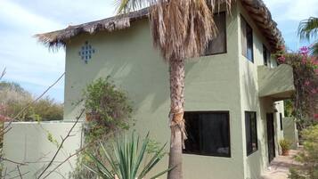 Un edificio de dos pisos con techo de paja, ventanas grandes y un pequeño jardín con una palmera y otra vegetación.