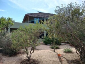 Property grounds - Casa Pájaros - Entire Upper Unit (Cabo Pulmo)