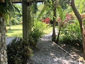 Property grounds - Beautiful Farm Within Nature with 30.000m2 of land (Manglaralto)