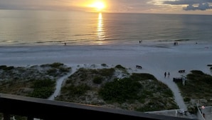 A beach with a sunset over the ocean, people walking, and a path leading to a building. - Renovated 2/2 Gulf Front Condo (Indian Shores)