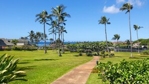 A well-maintained lawn with a central pathway, surrounded by palm trees and lush greenery, leading to a view of the ocean. - Regency at Poipu Kai #621 By Parrish Kauai - premier condo with central air grea (Koloa)